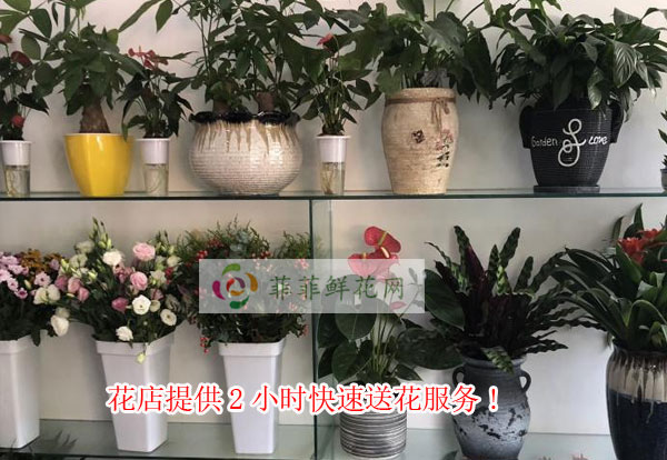 上海杨浦区花店提供上海杨浦区2小时快速送花服务